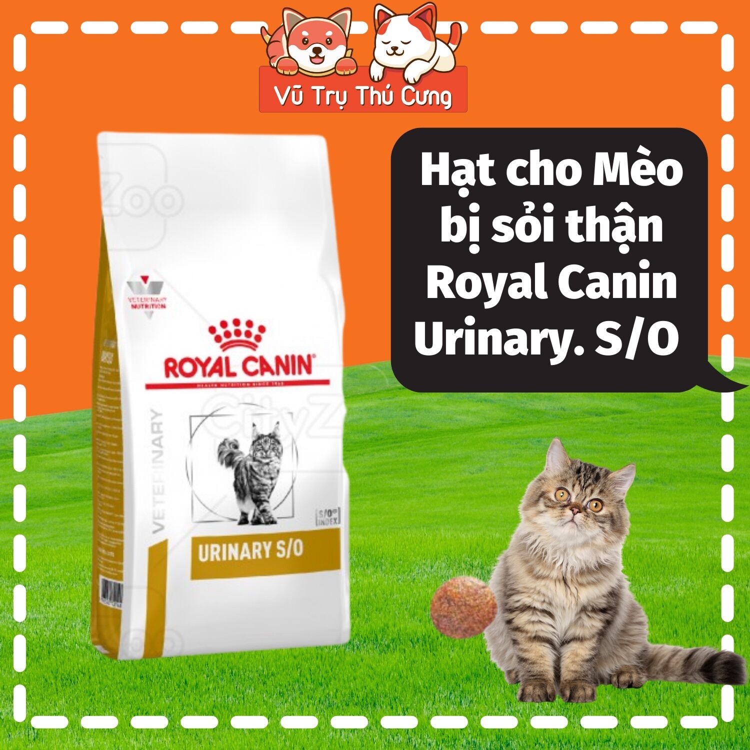 Hạt cho Mèo bị sỏi thận Royal Canin Urinary S/O