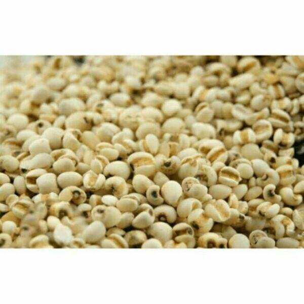 500g hạt ý dĩ bo bo