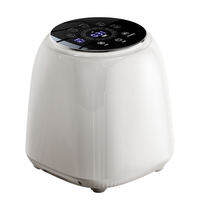 High Temperature Sterilization Mini Washer