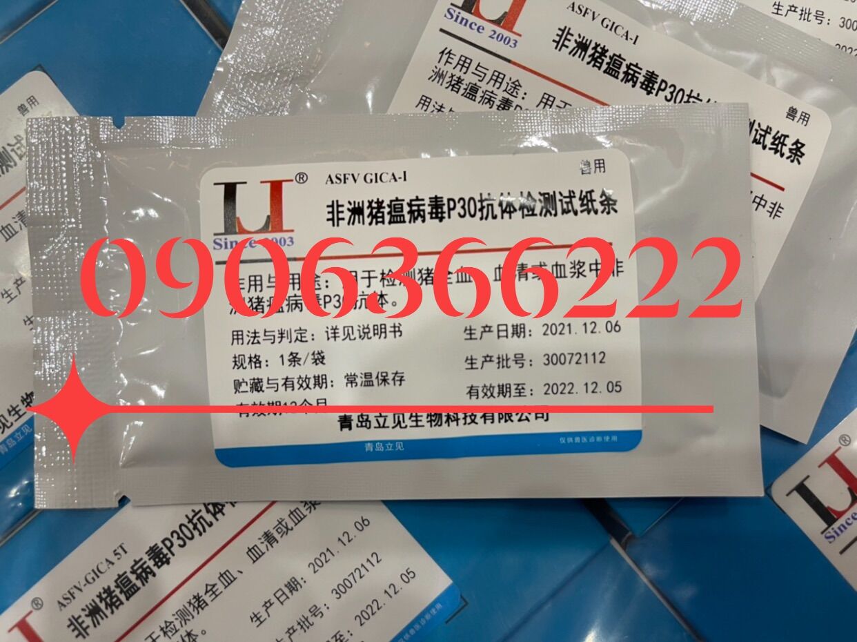 Que thử nhanh dịch tả châu phi