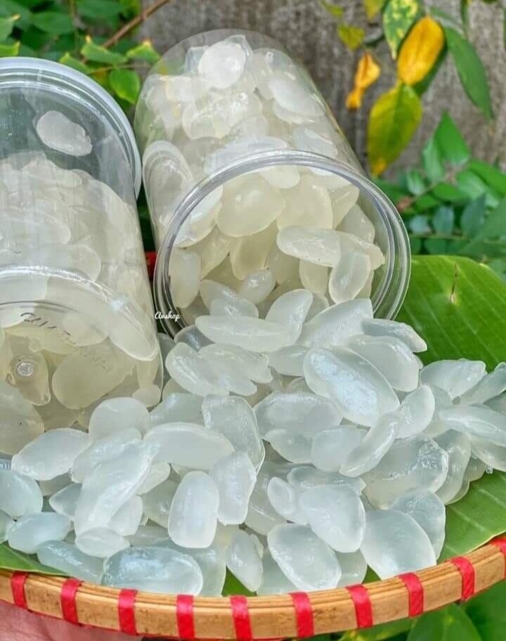 Thốt Nốt Sấy Dẻo - Không tẩm đường - Hộp 500g