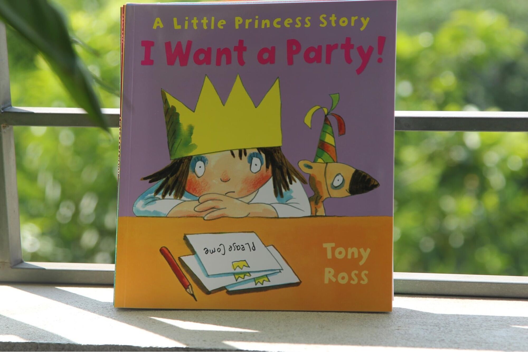 A Little Princess story - 10q
