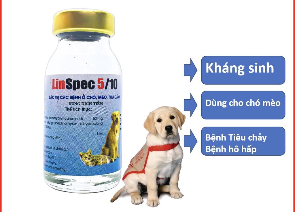 Lọ tiêm kháng sinh Linspec 5/10 cho chó mèo đi ỉa kiết lị