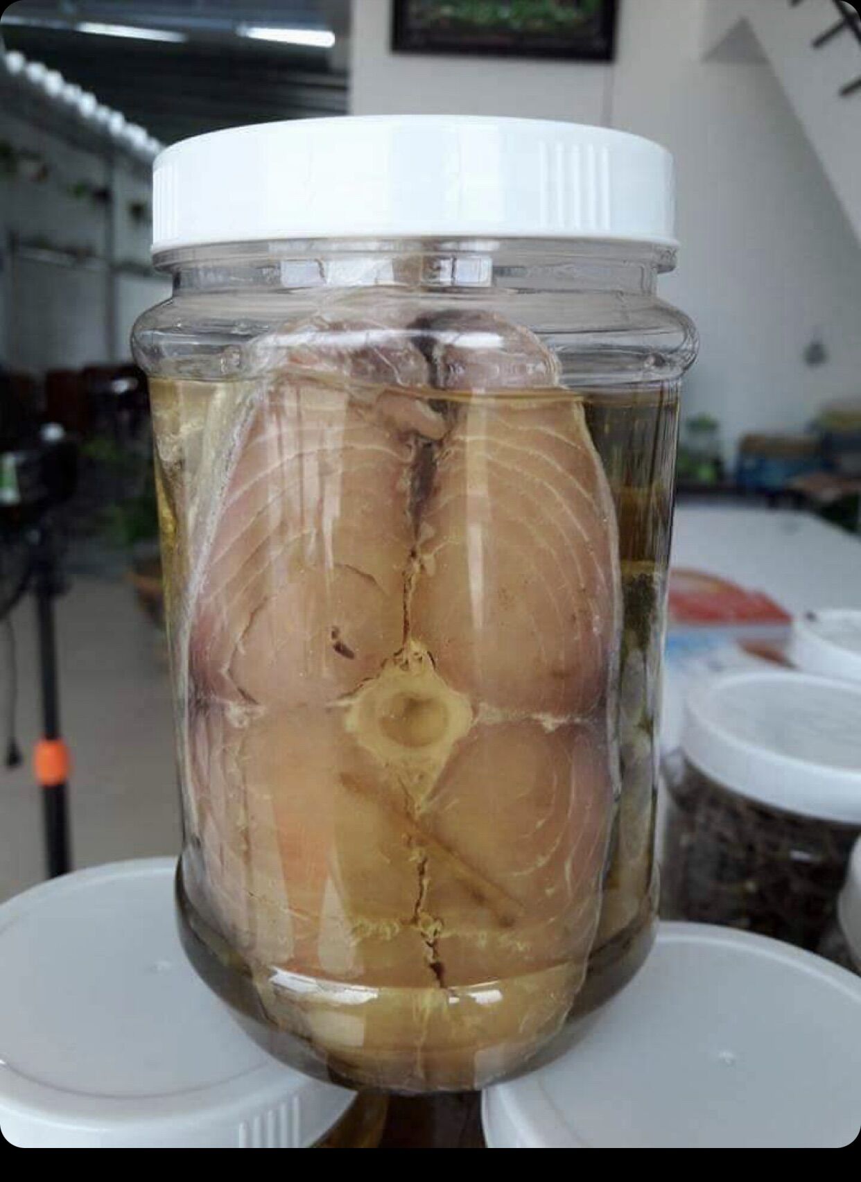 500g mắm cá thu ngâm dầu