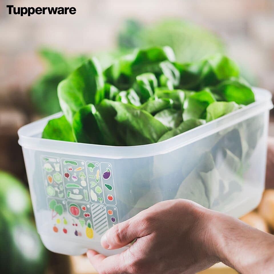 [Nhập RS0822 giảm 30k cho đơn 99k]Tupperware Ventsmart 7 hộp (Ven 7)