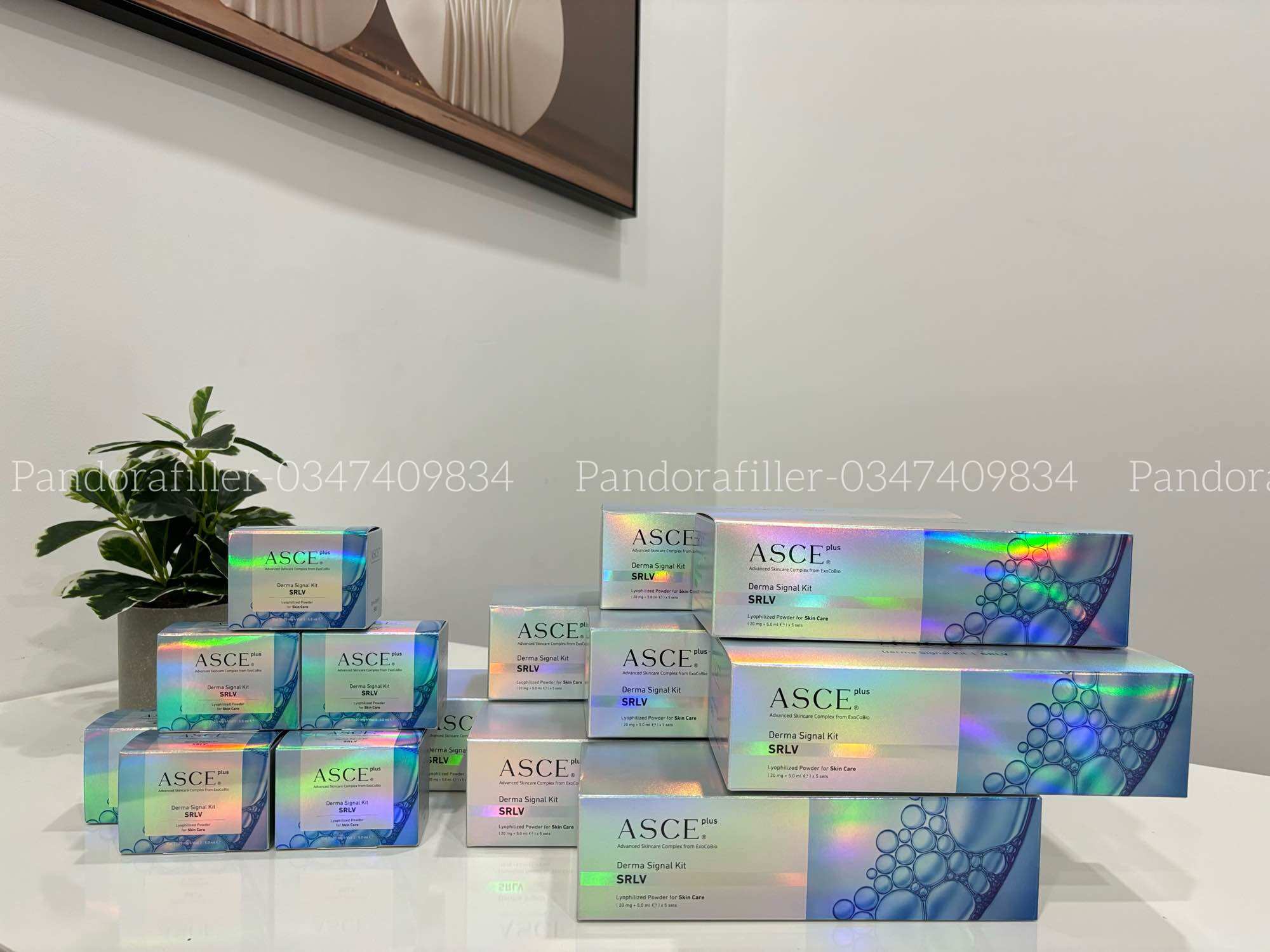 Tế bào gốc đông khô Asce plus Derma Signal Kit hàng chuẩn không tem