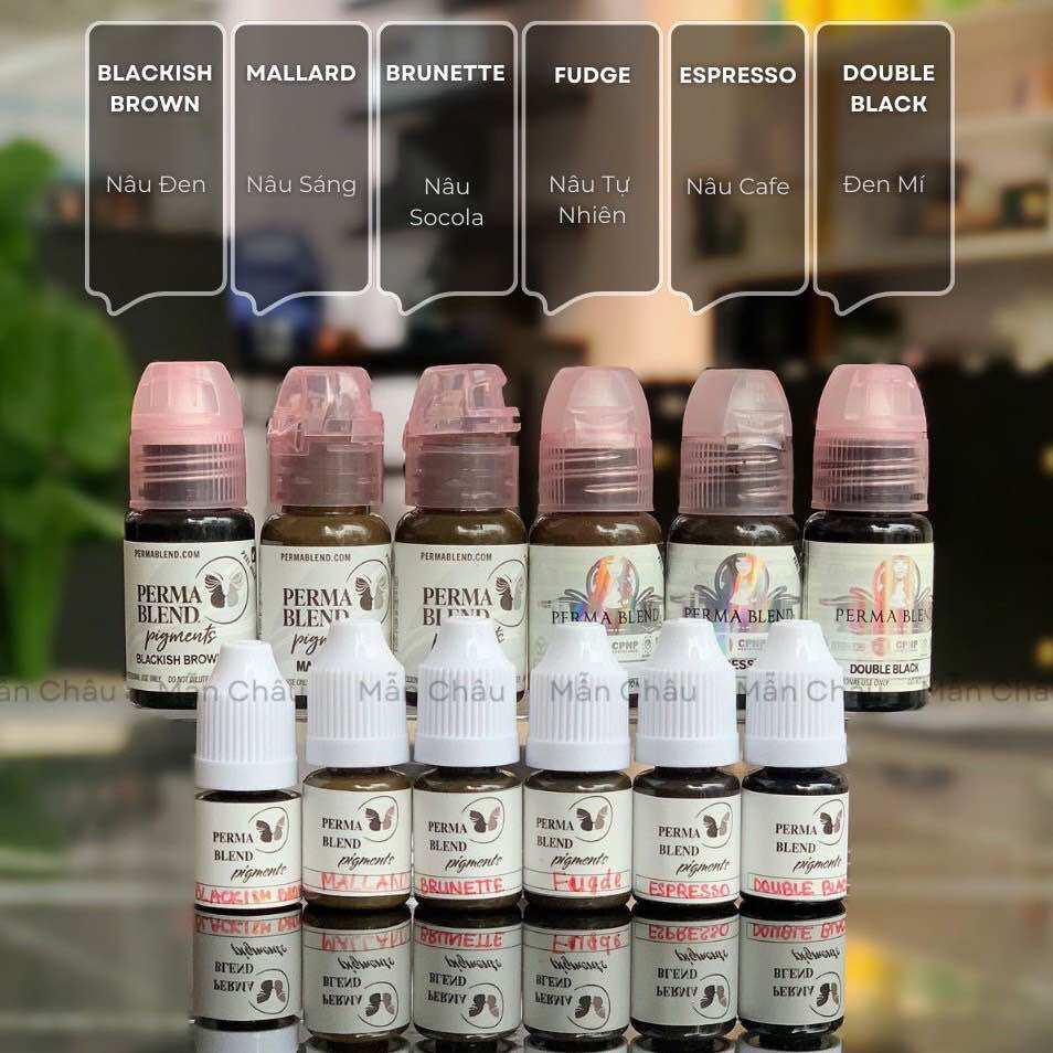 Mực perma blend hữu cơ mỹ full bảng màu | mực phun xăm