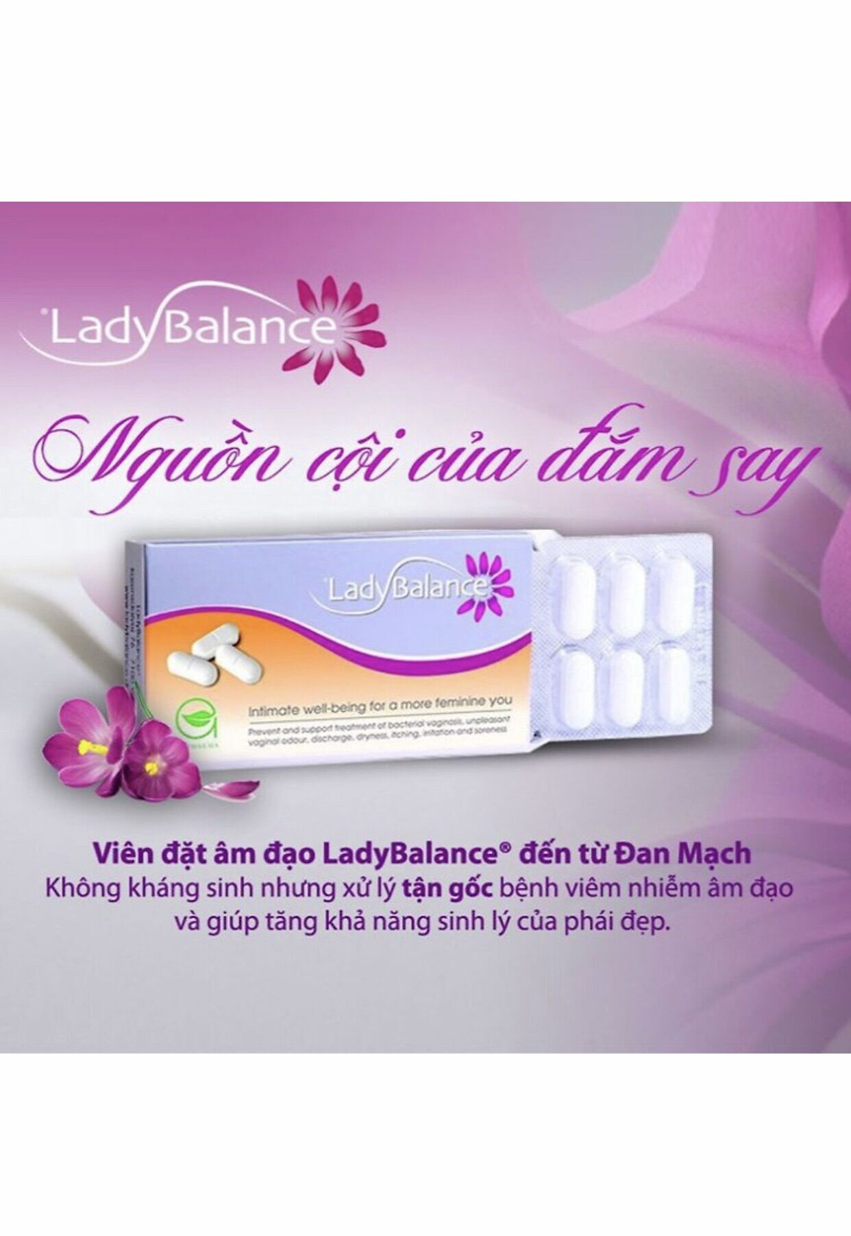 Viên đặt phụ khoa lady balance hộp 10viên