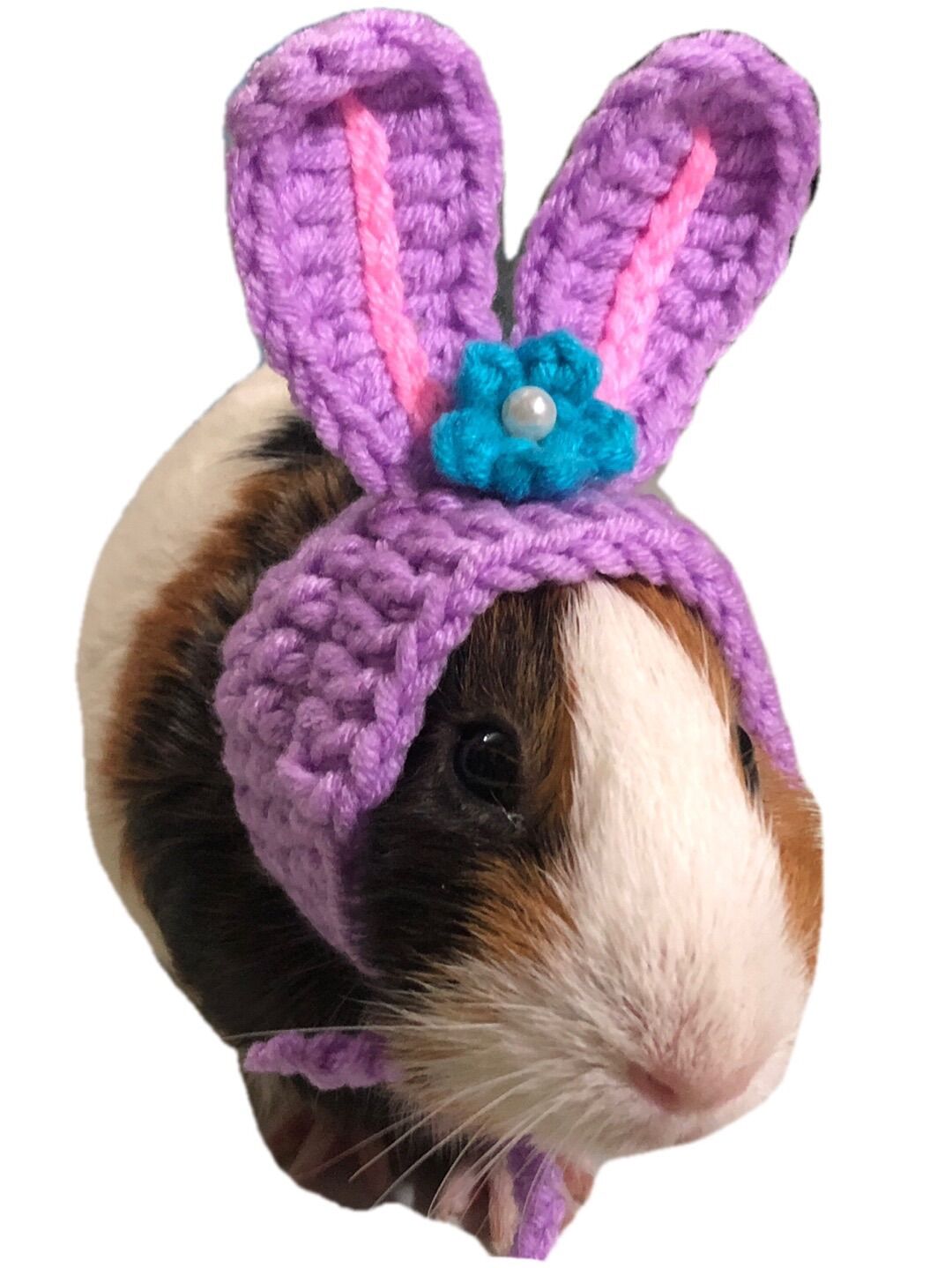 Nón mũ thỏ tím cho guinea pig, bọ ú, mèo con