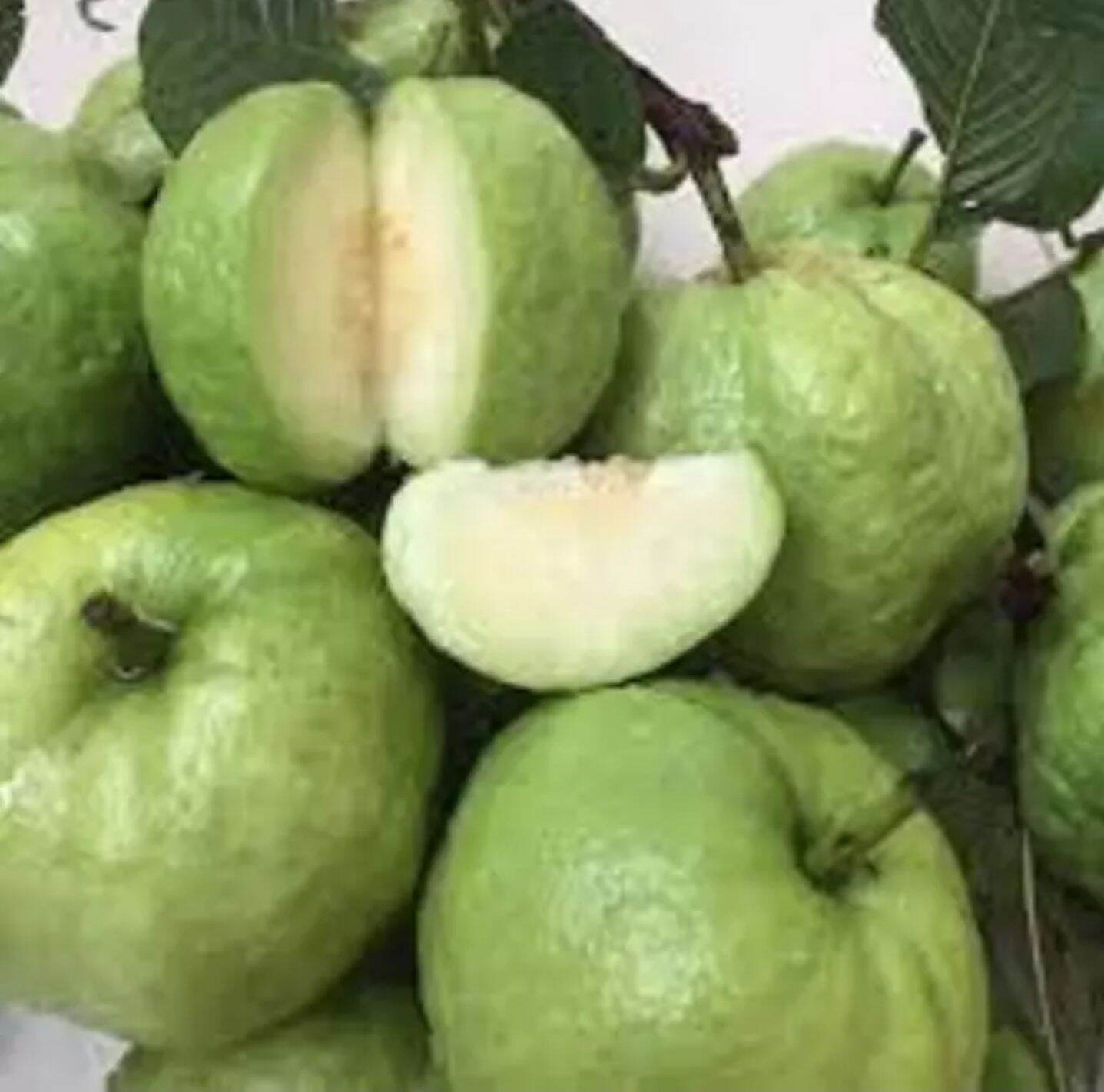 ỔI NỮ HOÀNG 1KG