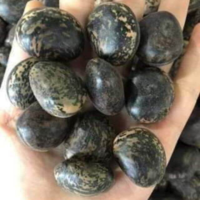 1kg hạt đậu lào