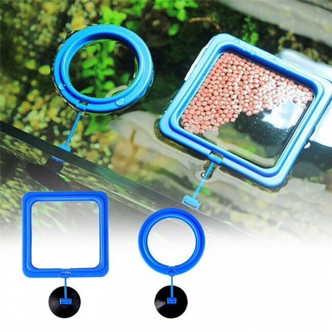 Vòng cho cá ăn, vòng giữ thức ăn cho cá
