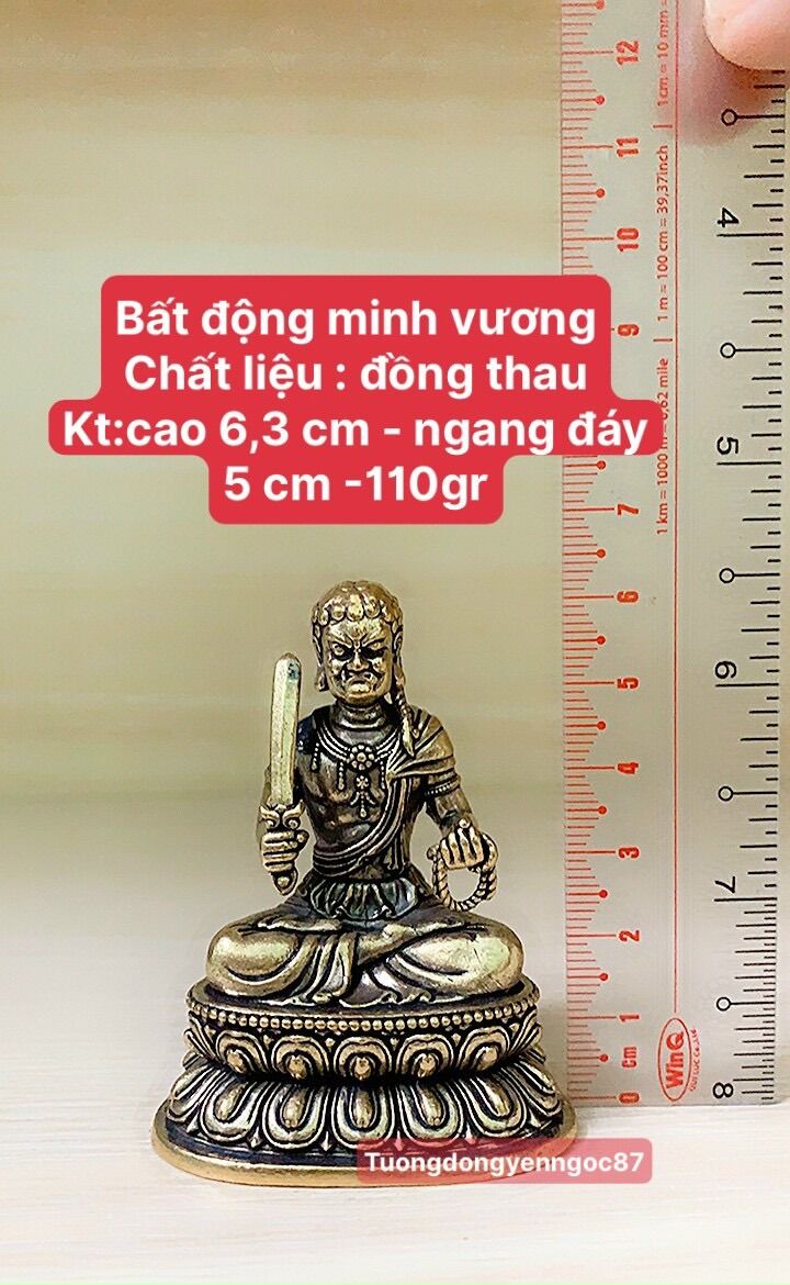 Tượng đồng Bất động minh vương