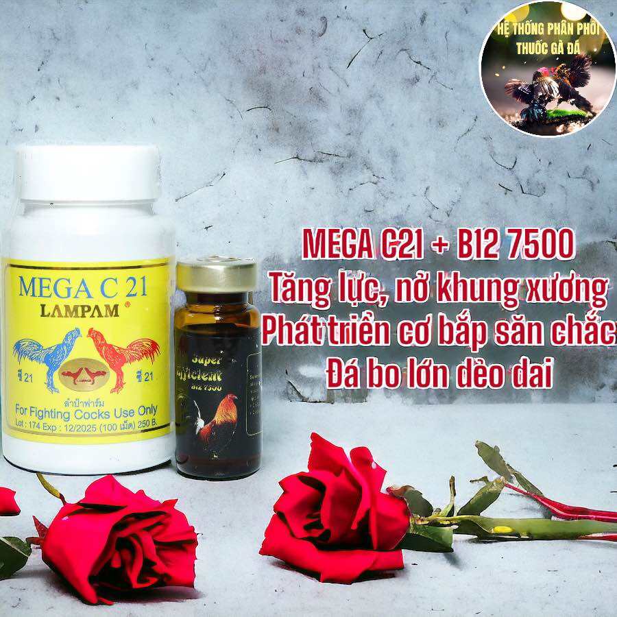 MEGA C21 LỌ 100 VIÊN  + B12 7500 CHAI 10 ML TĂNG BO, TĂNG NƯỚC MÁU CHO GÀ ĐÁ