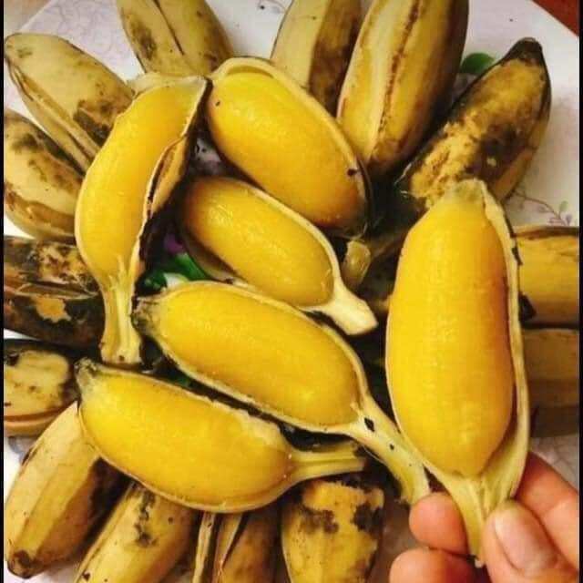 2kg Chuối sáp khách mua về tự luộc
