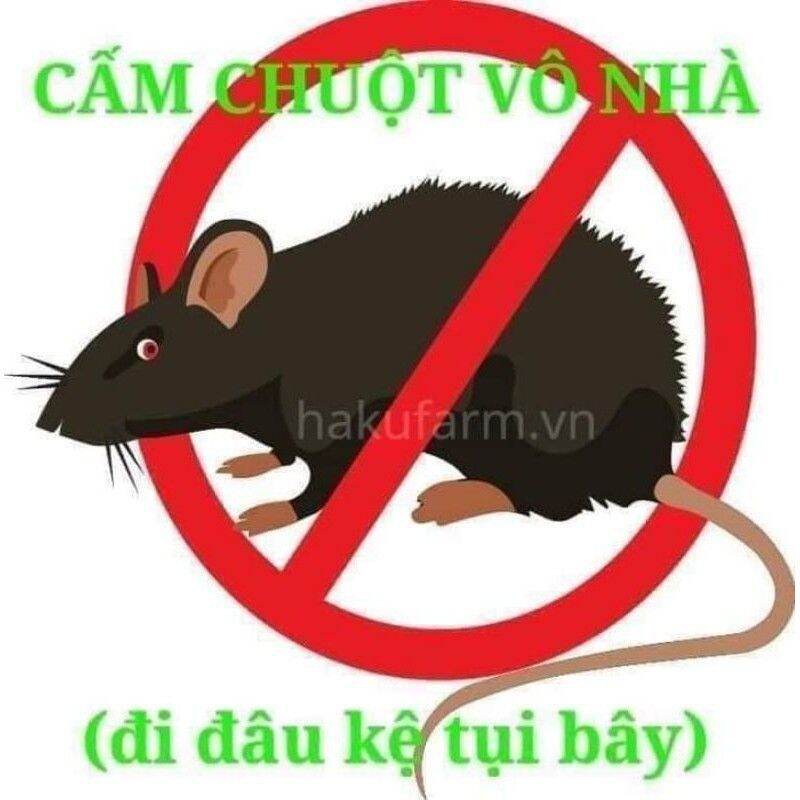 Lồng Đuổi Chuột - Gián Thái Lan