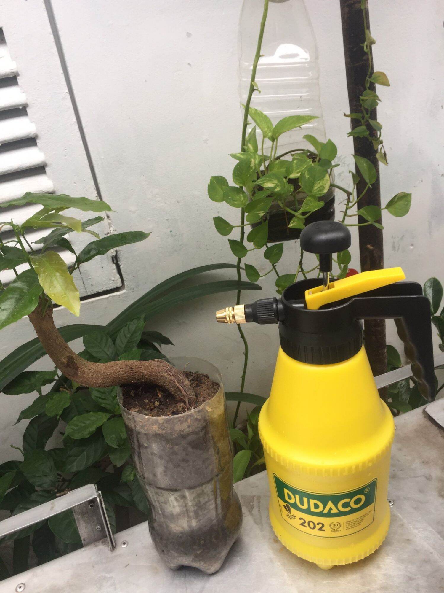 Combo 2 Bình Xịt Tưới Cây DUDACO 2 Lít