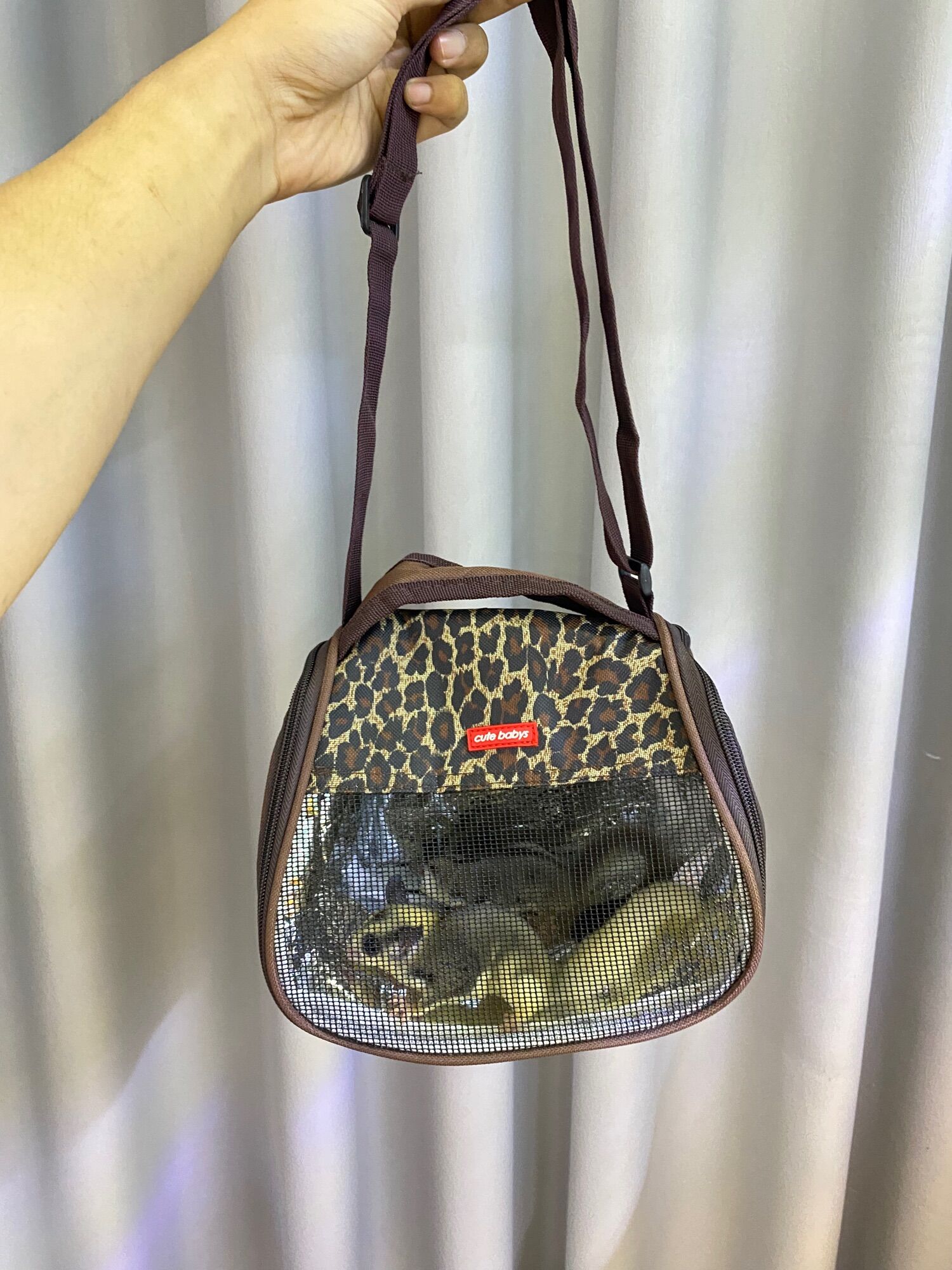 Túi đeo pet cho Sóc bay, Thỏ, Bọ, Nhím Kiểng