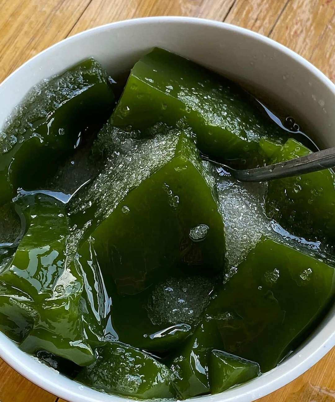 Cây găng nếp làm thạch (cây găng gai )- cây giống