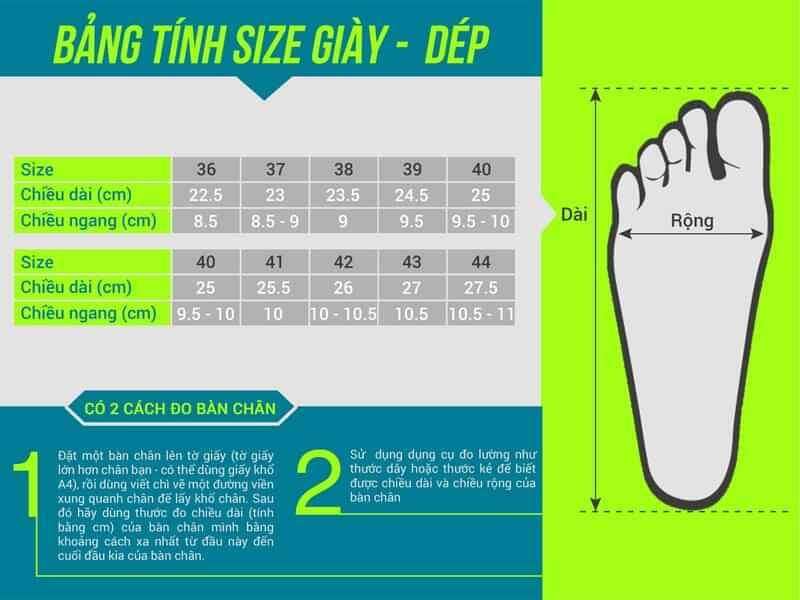 giày cao gót nữ 2p-9p size 33-44 (big size)