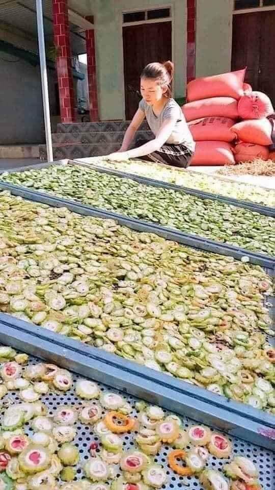 khổ qua rừng (mướp đắng) sấy khô 500 g