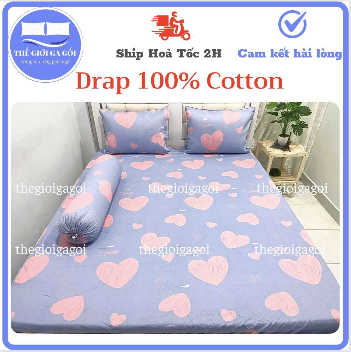 Bộ Drap 1m6 x 2m Cotton Thắng Lợi cotton 100% chuẩn logo