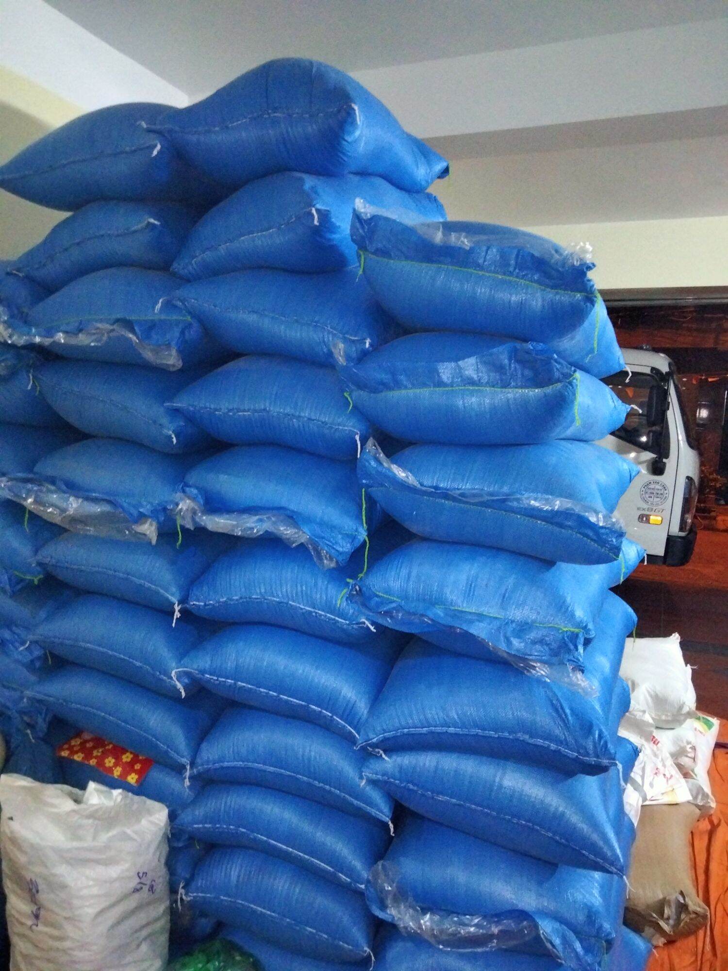 Gạo nếp Thàu Dầu ( Đặc sản Hải Hậu Nam Định)