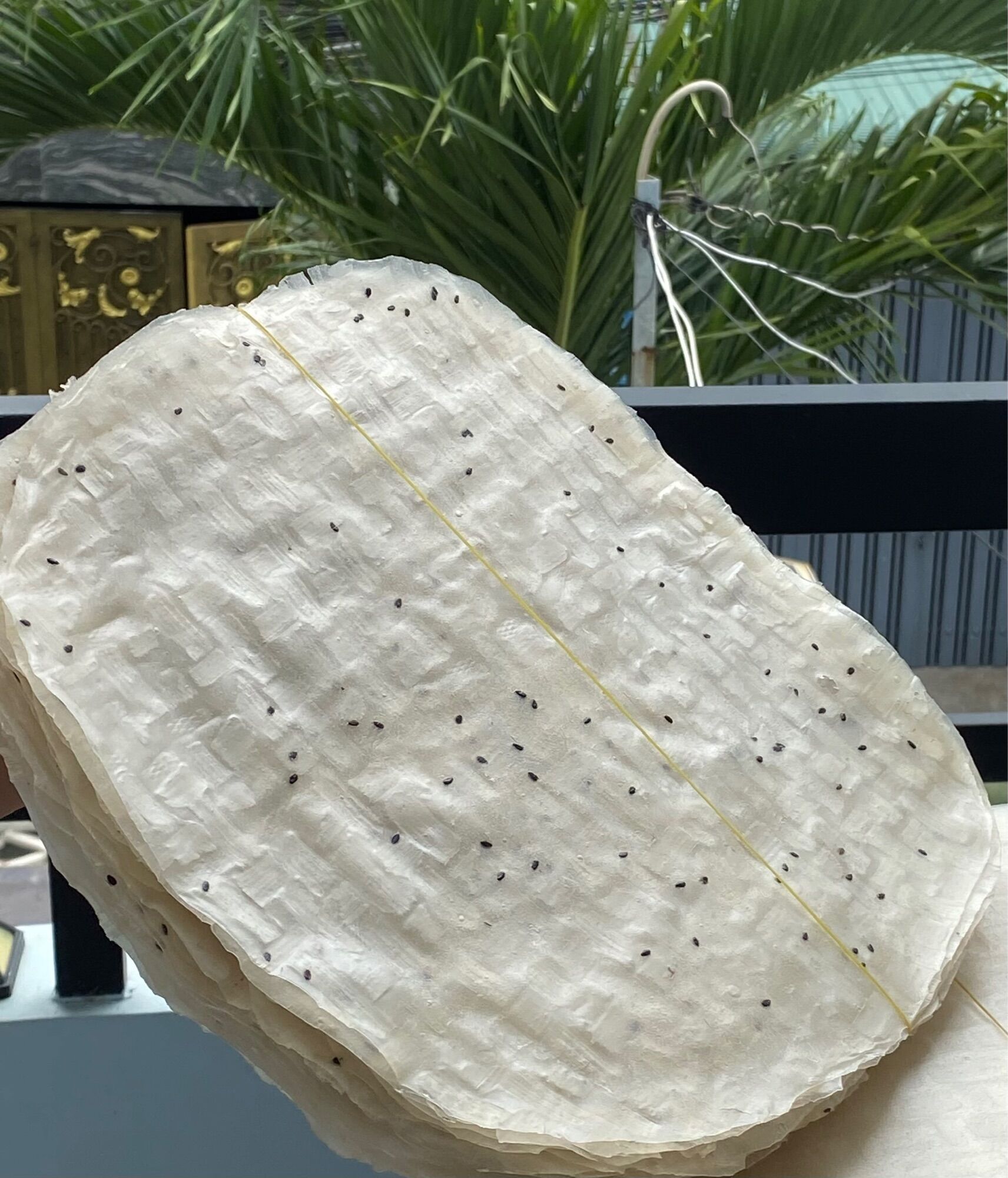 Bánh Tráng Nhúng Bình Định (39k / ràng 20 cái - Nhà làm, dẻo dai, thơm ngon)