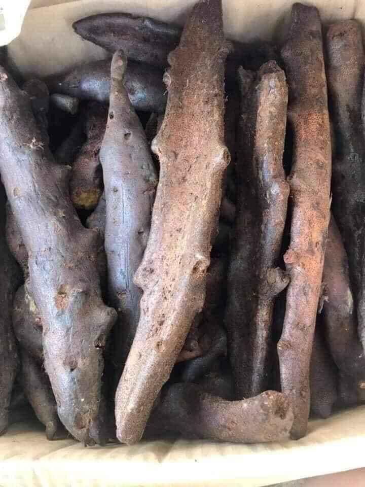 Cốt toái bổ tươi