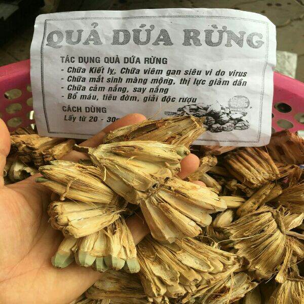 Set 3kg quả dứa rừng