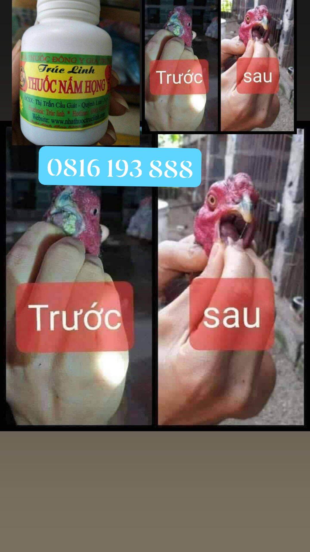 Nấm họng trúc linh