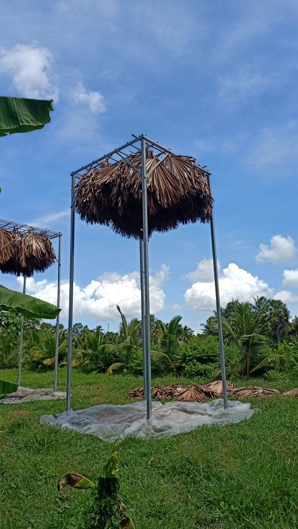 phân dơi nguyên chất 1kg