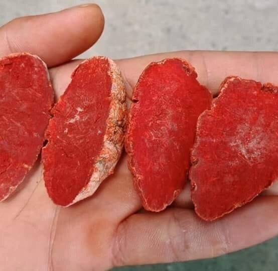 Nghệ đỏ củ 500g