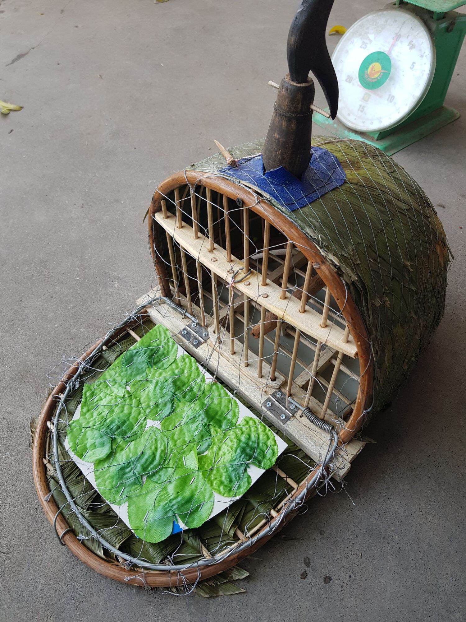 Lồng bẫy chim cu gáy hàng đẹp
