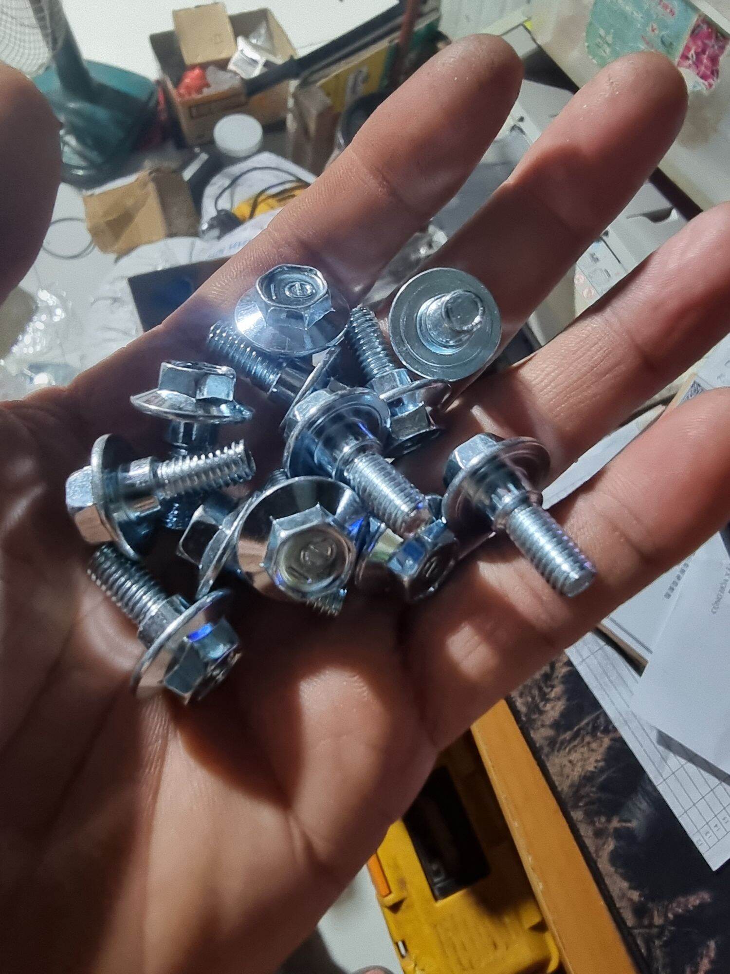 ốc dè trước ngắn - dài (10 con)