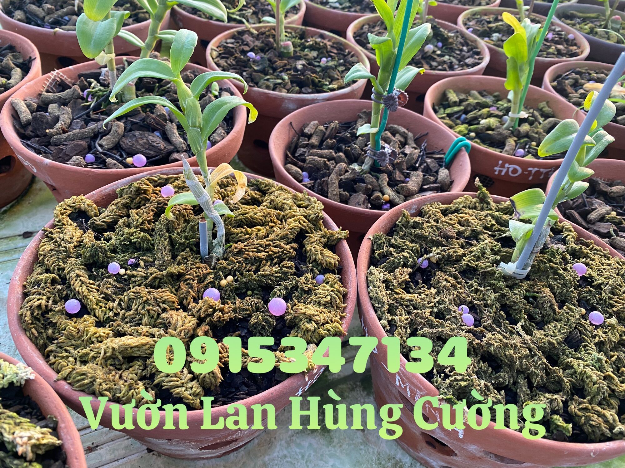 PHÂN TAN CHẬM CÓ KIỂM SOÁT RYNAN® FLOWERMATE 210 ( 22-10-10 + TE )