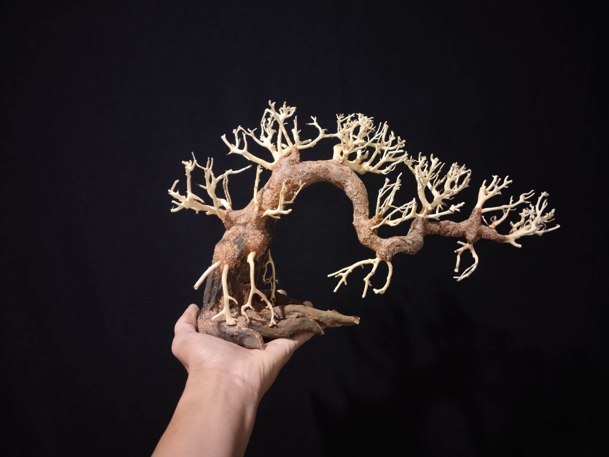 Lũa bonsai thủy sinh mini cho hồ cá 10 x 15 cm