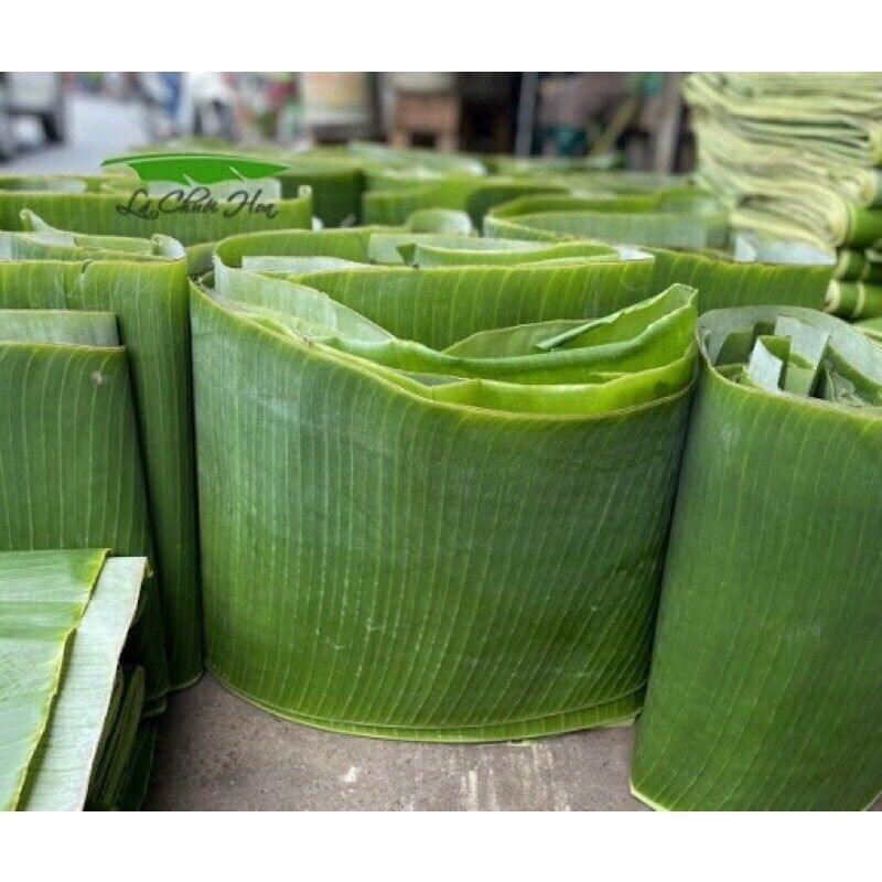 100 Grams of Fresh Banana Leaves for Cake Wrapping