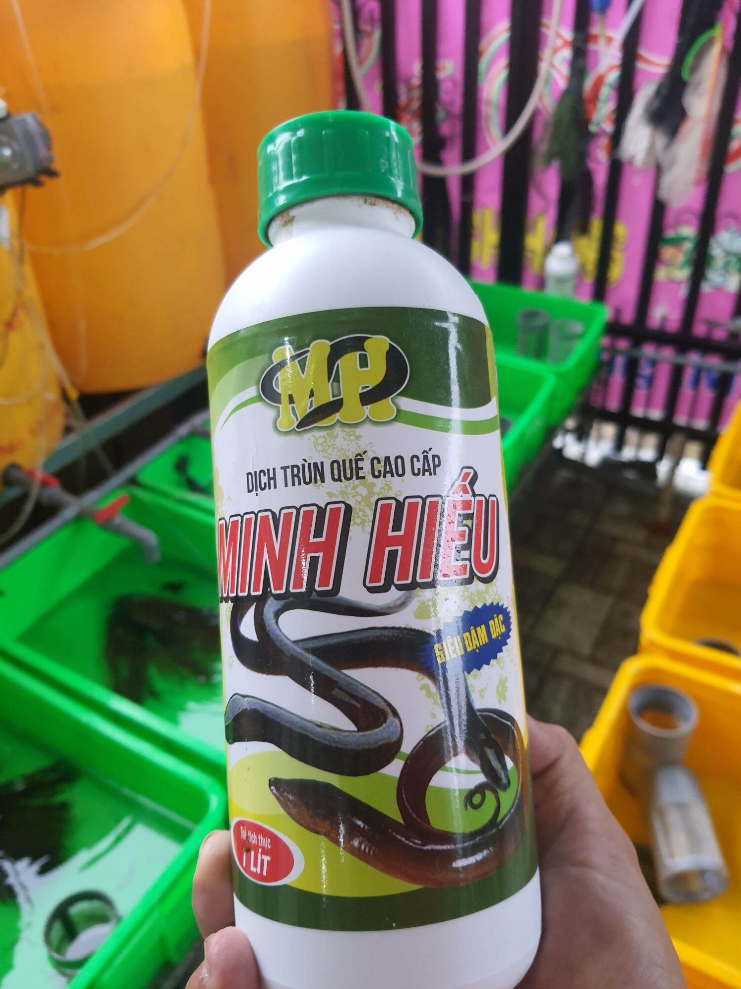 Dịch trùng quế SIÊU ĐẬM ĐẶC cho lươn bột