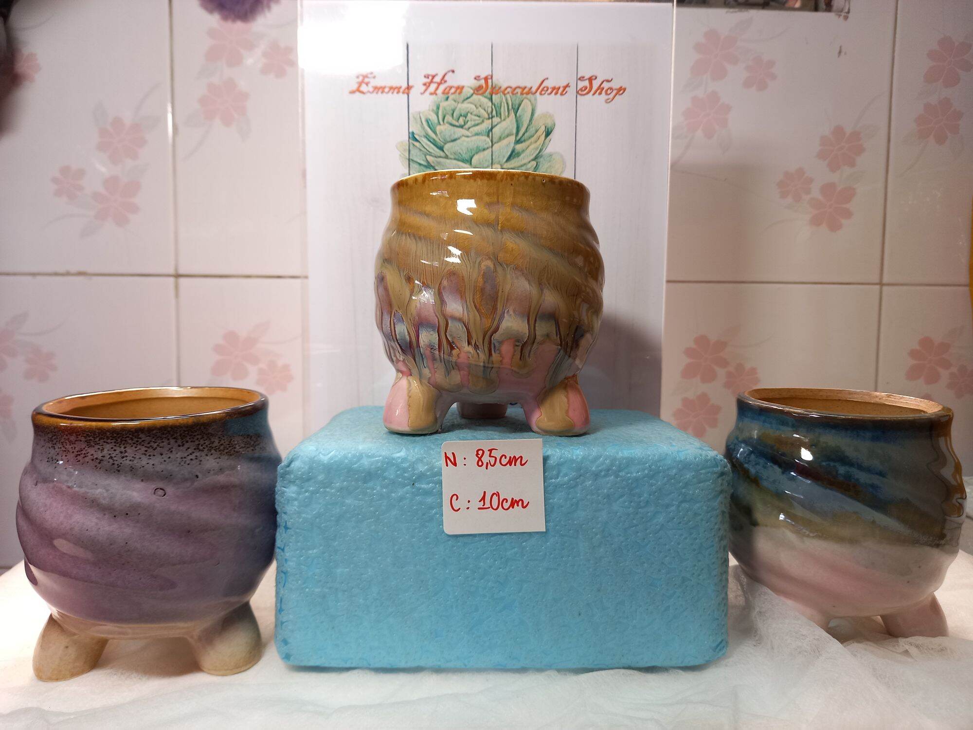 CHẬU NGOẠI NHẬP- chậu băng- chậu men sứ cao cấp-chậu men bóng- chậu trồng xương rồng- chậu trồng sen đá
