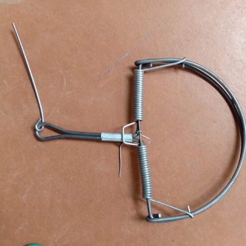 Bẫy chuột hình bán nguyệt