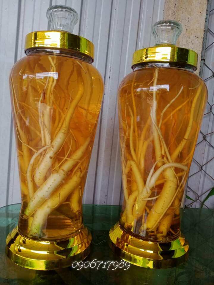 rượu sâm dây ngọc linh 5 lít