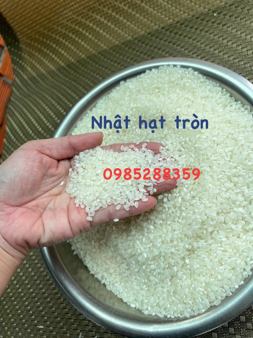 GẠO ST25- túi 5kg
