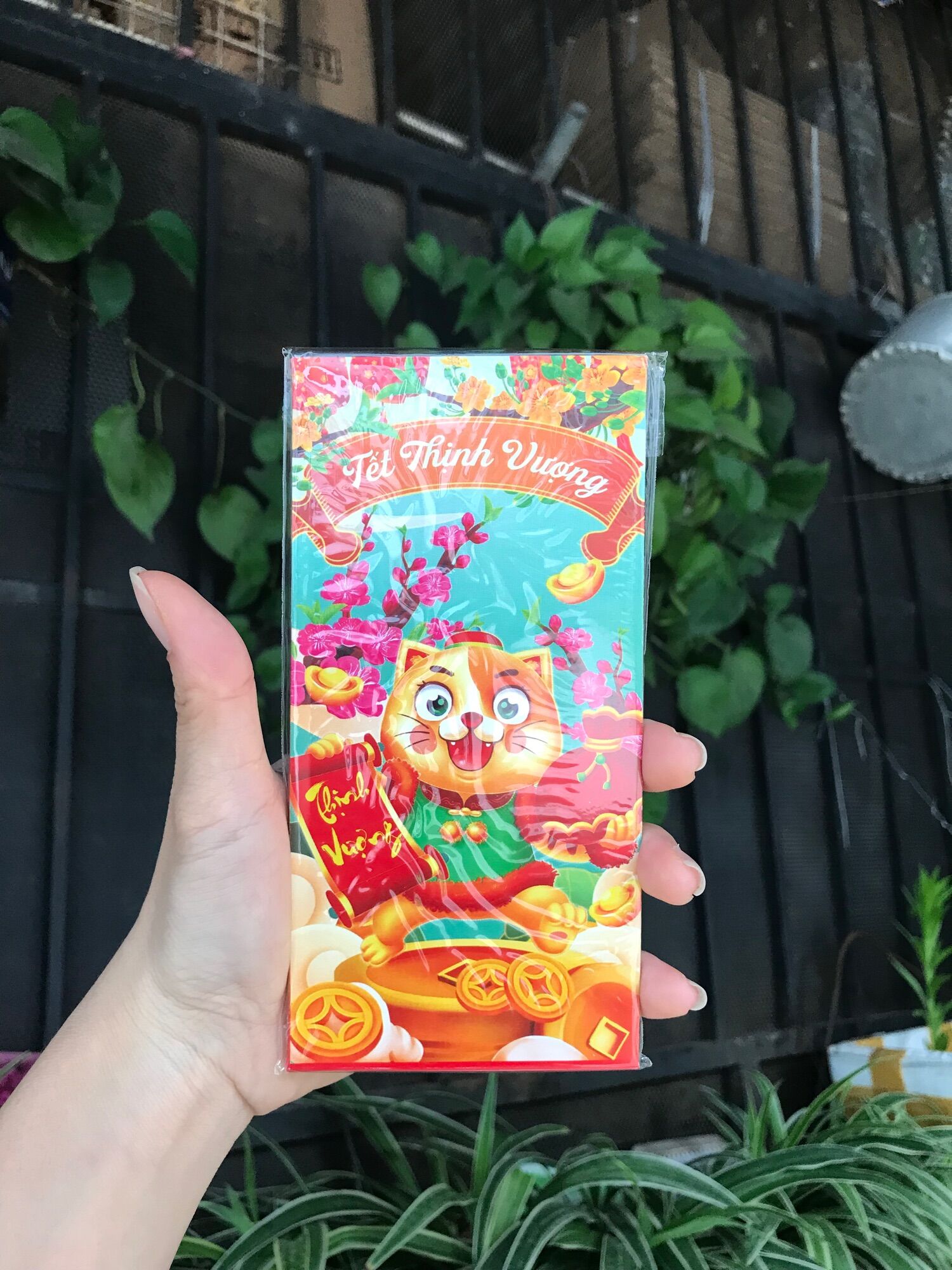 Combo 6 Bao Lì Xì Tết Quý Mão 2023