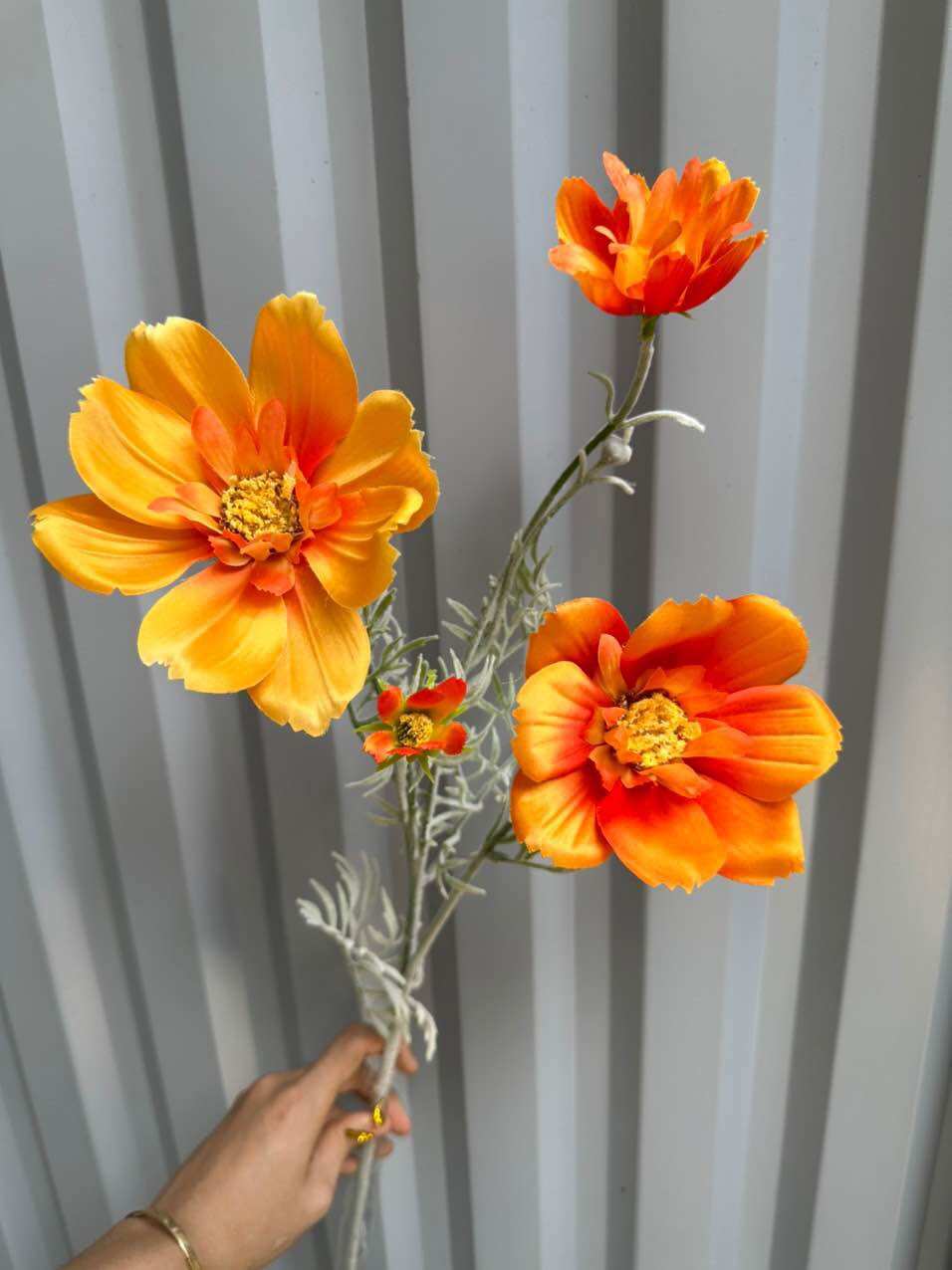 Cành Cúc Sao Bay  3 hoa 1 cắm bình , decor
