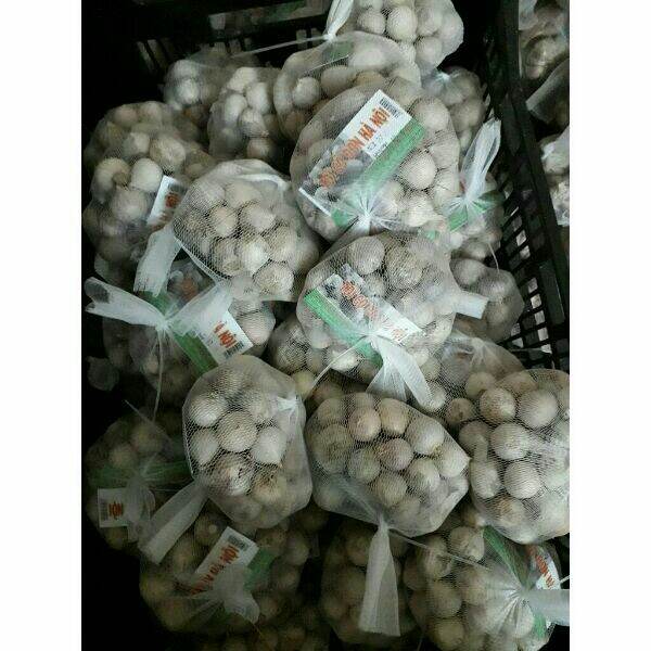 1kg tỏi cô đơn