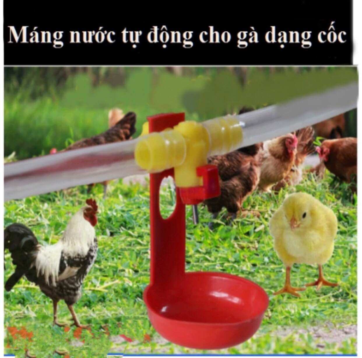 Van nước tự động cho gà vịt ngan ngỗng cút.Hoàn toàn tự động. Dễ sử dụng