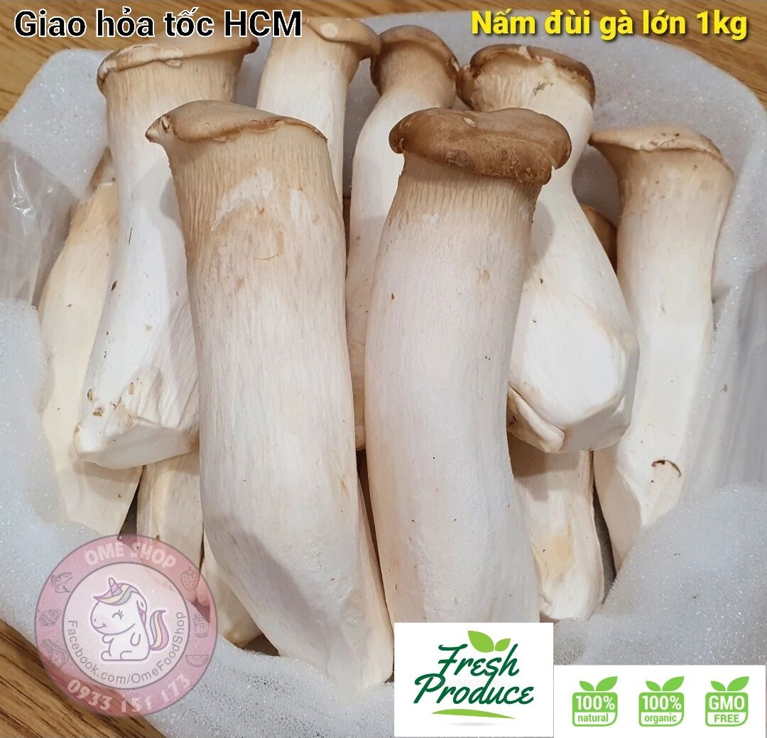 Nấm Đùi Gà Lớn - King Oyster Mushrooms 1 kg - Hỏa Tốc Hồ Chí Minh