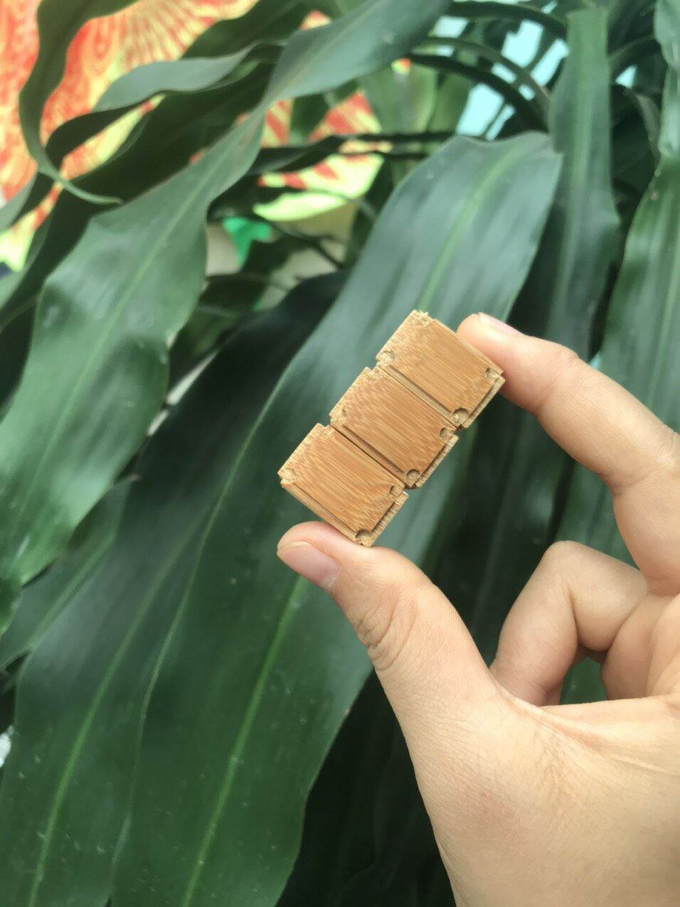 cóng chim chào mào