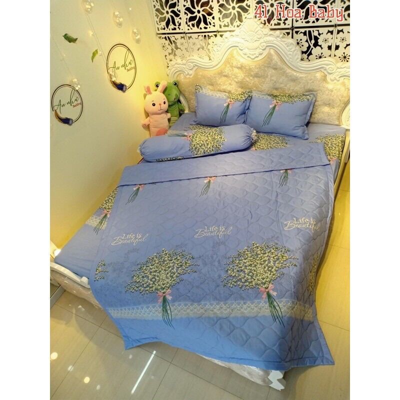 Chăn hè COTTON POLY trần bông 3 lớp (Được chọn mẫu)
